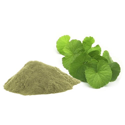 Organic Brahmi – Natural Memory Enhancer