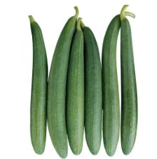 Sponge gourd