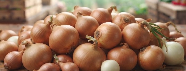 Onion 