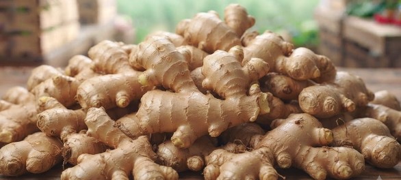 Ginger