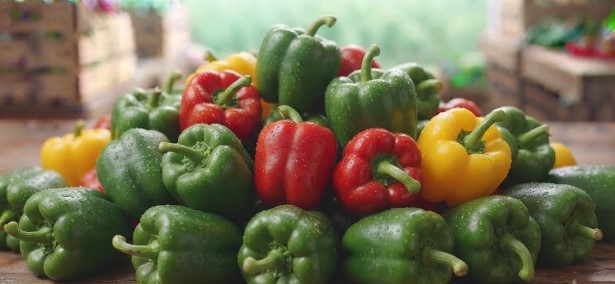 Capsicum