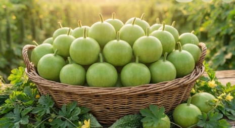 Round Bottle Gourd