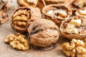  Walnut – अखरोट  