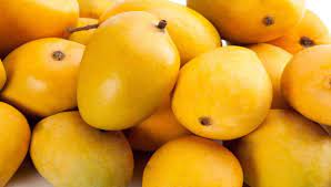 Mango – आम  