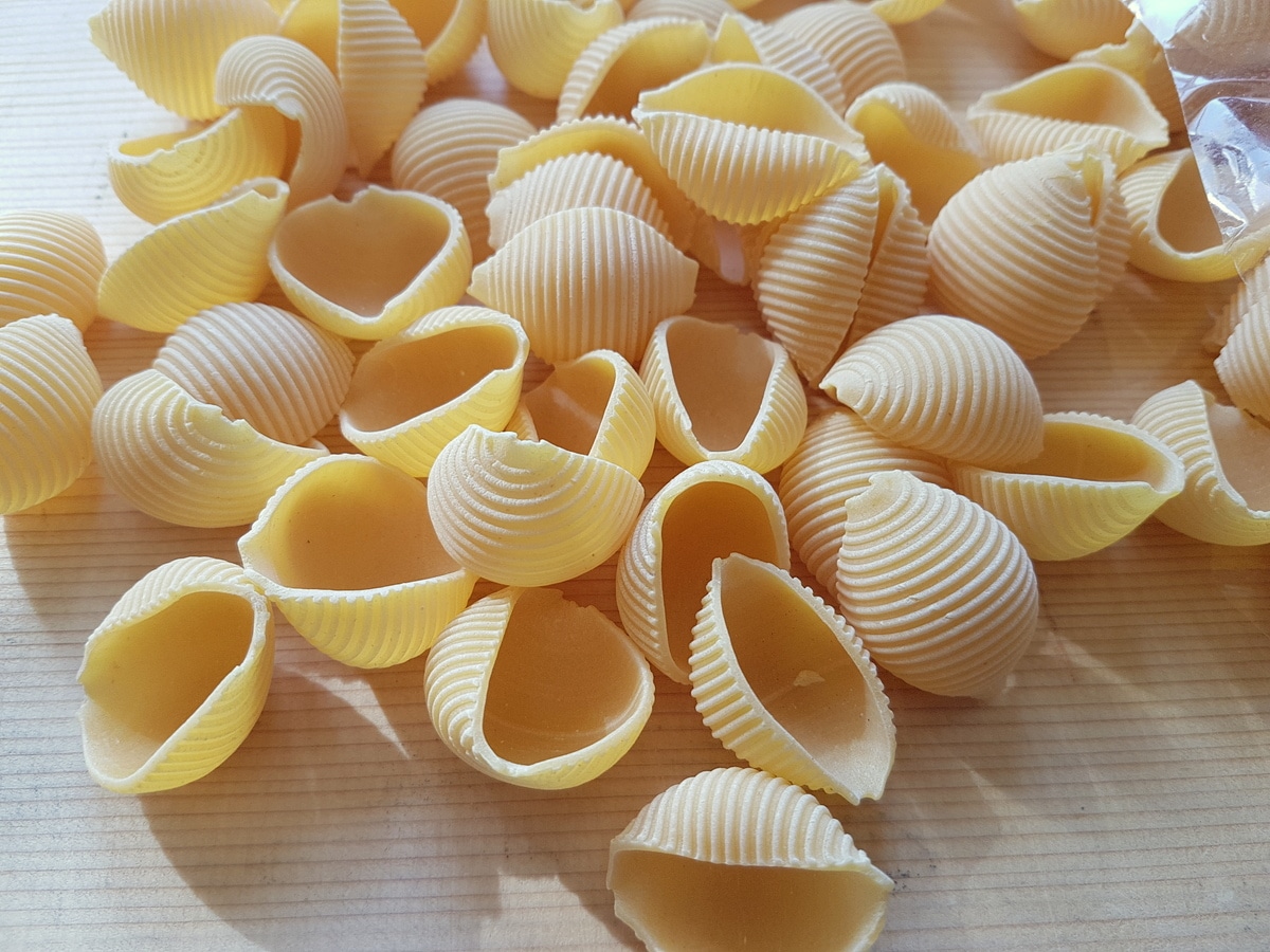Shell Pasta (Conchiglie)